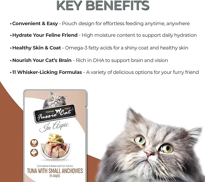 Fussie cat Premium Tuna w/Small Anchovies 12 Count(Pack of 1)