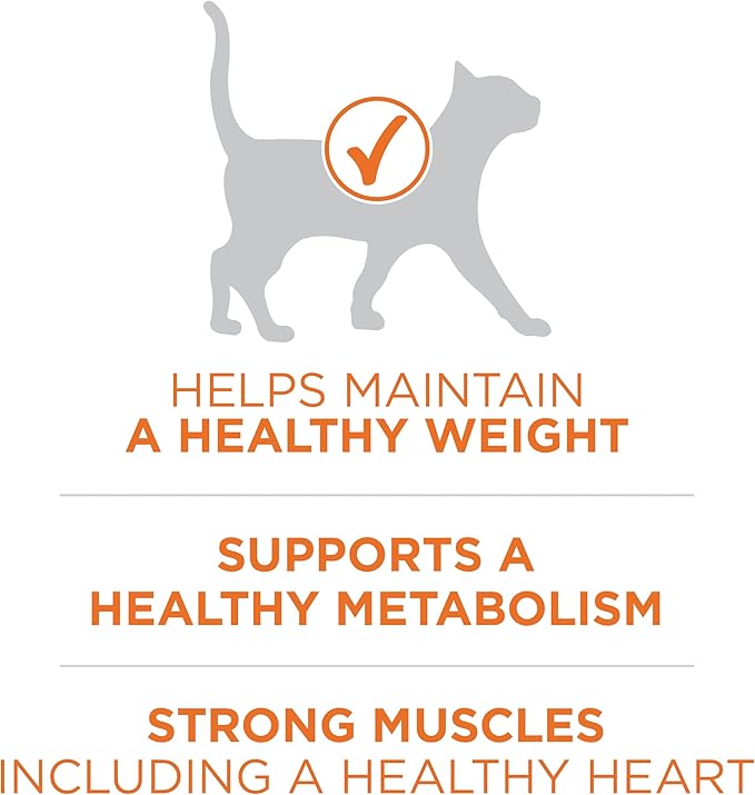 Purina ONE High Protein, Healthy Weight Plus Ideal Weight With Chicken Dry Cat Food - 3.5 lb. Bag