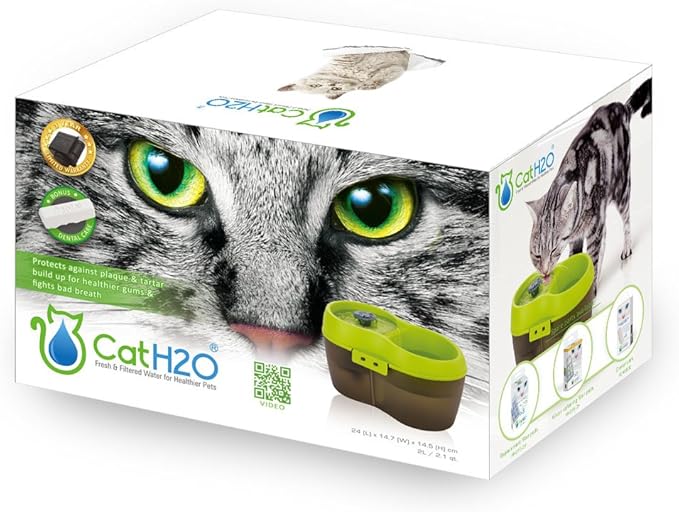 Cat H2O Filtered Cat Water Fountain 67 fl. oz/2.1 Quart with Filter & Dental Care Tablet, Lime Green/Translucent Black