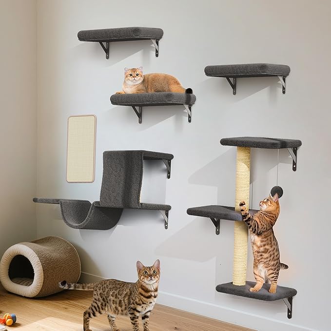 Cat Wall Shelves for Large Cats, Stable & Safe Kitty Walls Furniture Set for 40LBS Cats with Wooden Cat Climber,House, Bridge, Tree, Steps, and Scratcher for 16 Inch Drywall (Black, 5-in-1)