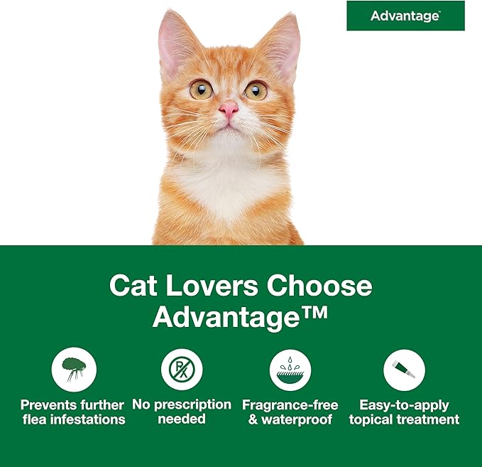 Advantage Topical Cat Flea Treatment and Prevention for Small Cats 2-9 lbs. | Apply Flea Drops Monthly | 2 Treatments, (Pack of 2)
