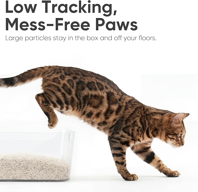 FUKUMARU Tofu Cat Litter, Strong Clumping Cat Litter Pellets, Effective Odor Control, Ultra Absorbent, Dust Free, Natural, Flushable, Lightweight, Low Tracking, White Tea, 6lb x 2 Bags