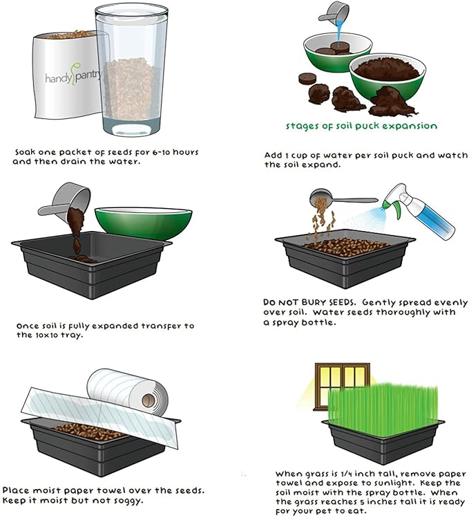 Handy Pantry Organic Cat Grass Kit - Includes 3 Trays, Soil Pucks, and 3 Packs Non GMO Wheatgrass Seed - A Healthy Treat For Cats, Dogs, Rabbits, More