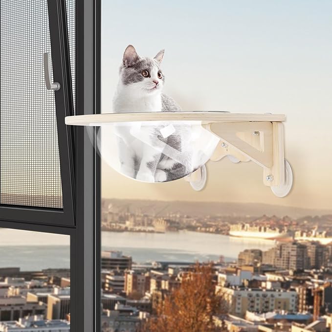 Cat Hammock, Wall Mounted Bamboo Cat Wall Furniture, Extra Large Cat Space Capsule Bed, Durable Transparent Cat Beds & Furniture for Adult Cats, 40+ lbs Capacity