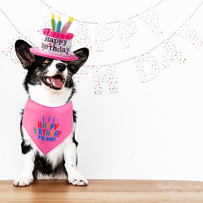 Cat Happy Birthday Cake Hat & Bandana Scarfs Set with Colorful Candles for Small Animas, Cat Birthday Party Supplies Decorations (Pink)