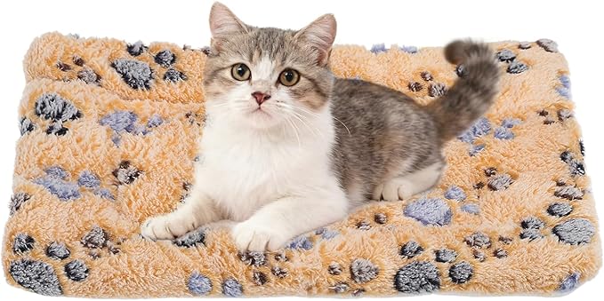 Dog Cat Bed Mat, Soft Coral Fleece Pet Cushion Pad with Cute Paw Print, Warm Washable Pet Bed 13x10 Inches, (Coffee), Intended for Medium Small Dog Cat