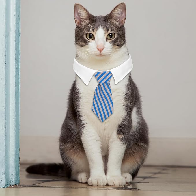 3 Pieces Dog Cat Bow Tie Adjustable Pet Neck Costume Puppy Pets Formal Necktie Collars Cat Dog Tie for Cats Small Puppy Grooming Accessories