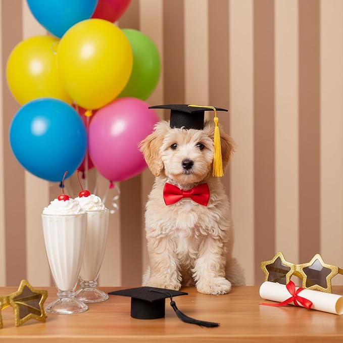 Mini Graduation Caps with Gold and Black Tassel, 2 Pack Black Mini Graduation Caps, Small Animal Bachelor Hats for Adjustable Pet Graduation Photo Props Cat Dog Holiday Costume Accessories