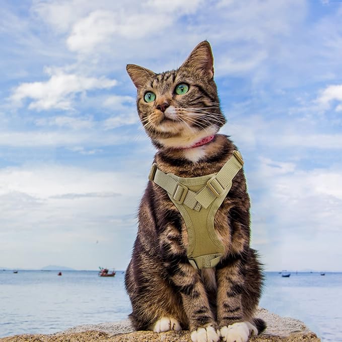 AIWAI Tactical Cat Harness for Walking Escape Proof, Adjustable Pet Vest Harness with Control Handle for Large Cat Small Dog, Soft Mesh, Gift with Patch