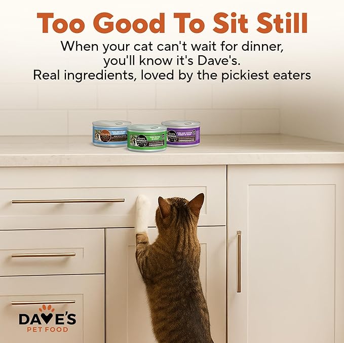 Dave's Pet Food Naturally Healthy Tuna Pate in Gravy Variety Pack Grain-Free Wet Cat Food, 3-oz can, Case of 12