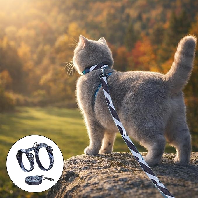 Cat Harness and Leash Set, 3-in-1 Escape Proof Adjustable, Comfortable Walking Travel Kitten Harness for Small Medium Large Cats (Grey)