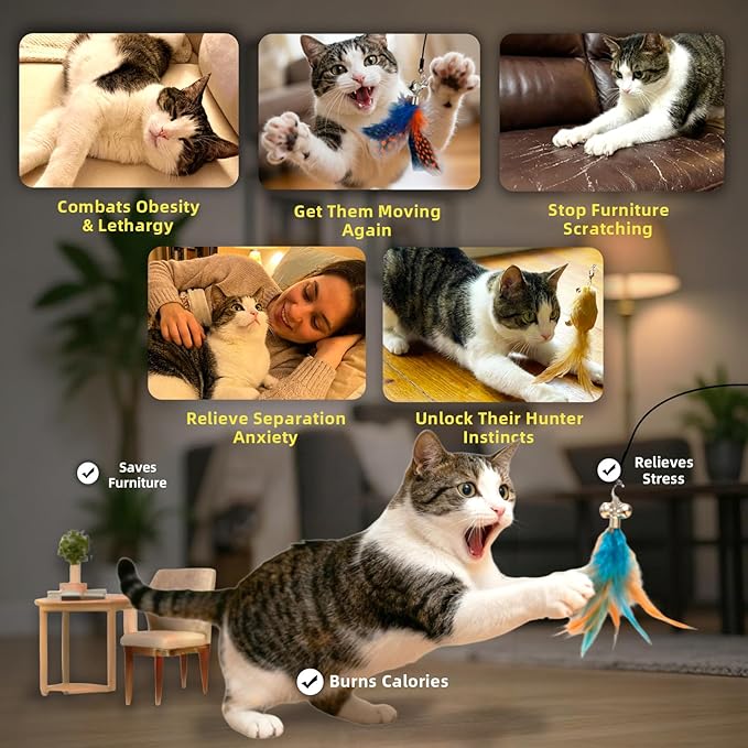 Upgraded Dual-Hole Suction Cup Cat Wand Toy - Single Base Holds 2 Steel Wire Wands - 9-Piece Interactive Teaser Set for Self-Play & Handheld, Perfect for Multi-Cat & High-Energy Kittens