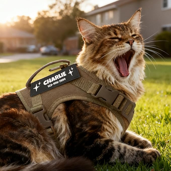 Cat Harness and Leash Escape Proof Tactical Cat Harness with Custom Patches Adjustable Soft Vest for Walking & Training Comfortable Outdoor Gear Fits Small Medium Large Cats (8-20 lbs)