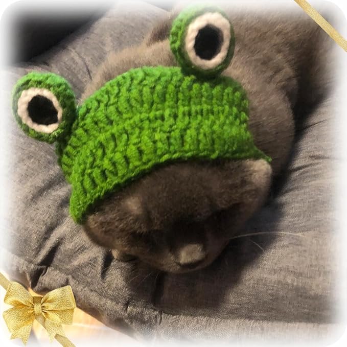 5 Pieces Cat Hat Adorable Cat Costume Outfit Bunny Hat with Ears Funny Mane Hat for Cats and Small Dogs Kitten Puppy Party Costume Accessory Headwear (Frog-Flower-Rabbit-Lion-Chick)
