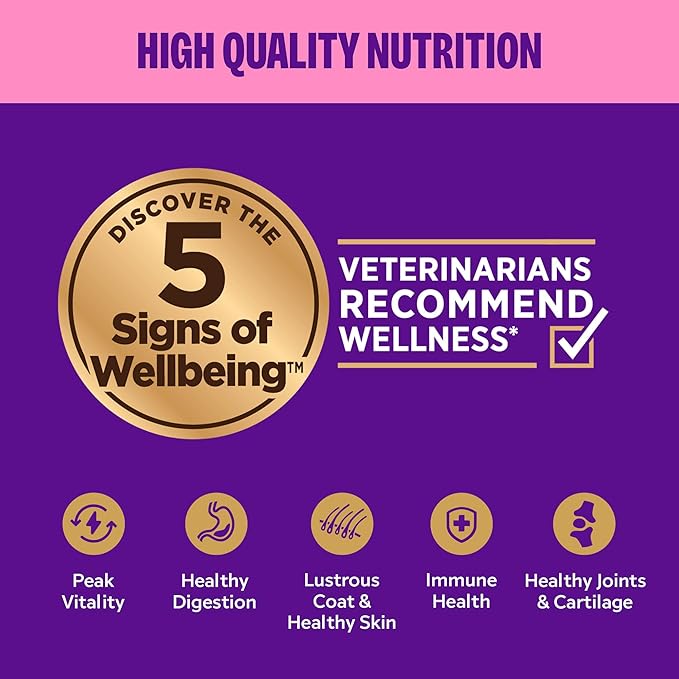 Wellness Appetizing Shredded Flaked Adult Wet Cat Food, Natural, Protein Rich, Grain Free, Chicken and Egg Recipe, 2.8 oz, Pack of 8 Pouches
