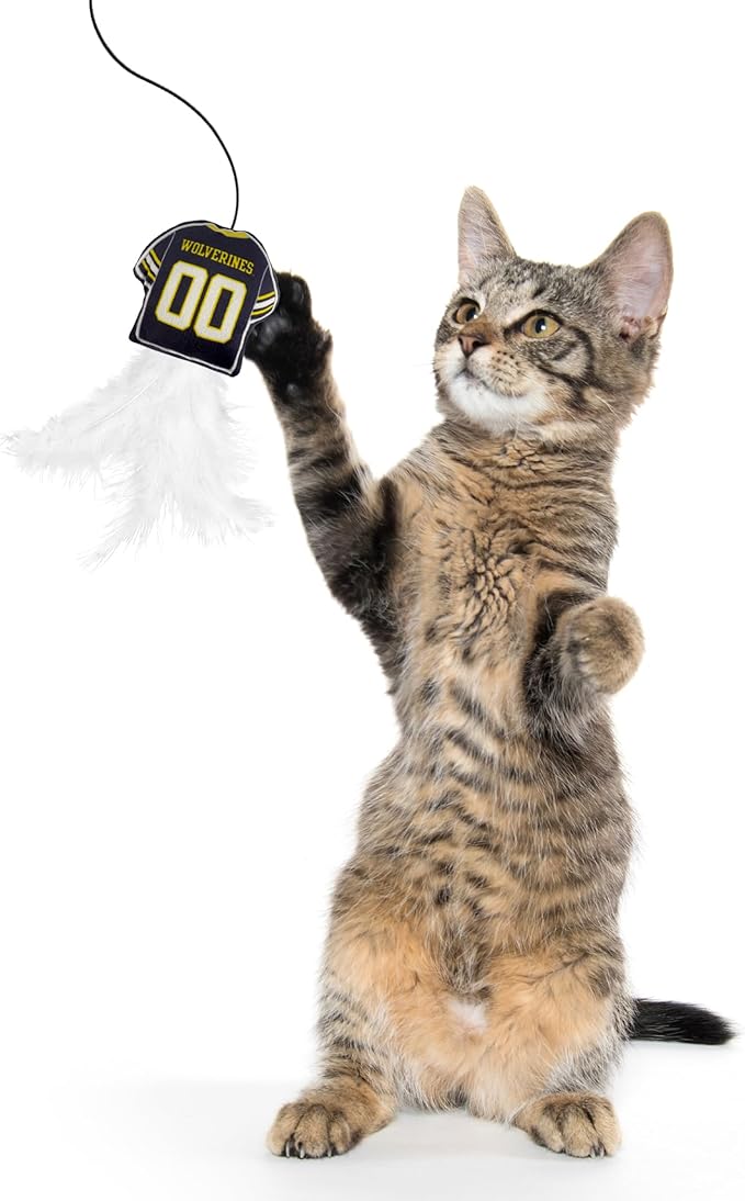 NCAA Michigan Wolverines Team Jersey Wand with CAT NIP, Cat Toy Jersey Shaped Plush Teaser Toy for Cats & Kittens - Interactive Pet Toy for Play & Exercise