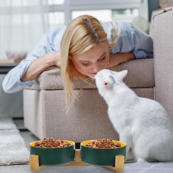 Beavorty Ceramic Elevated Cat Bowl with Dual Color Matte Finish, Green and Yellow Inner Bowls, Small Double Dish Set with Wooden Stand for Household Pet Feeding and Watering