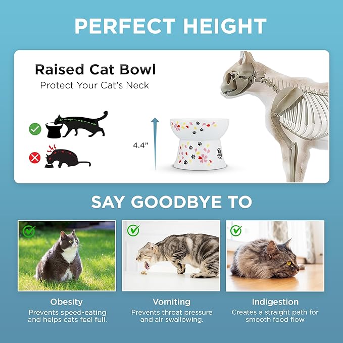 Necoichi Raised Cat Food Bowl – Ceramic Elevated Cat Bowl for Whisker & Neck Fatigue, Dishwasher Microwave Safe – Non-Slip & Anti Vomiting Ergonomic Design (Sakura Floral, Large, 2-Cup Capacity)
