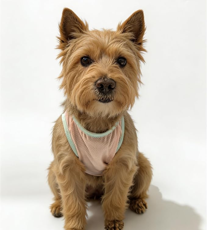2Pcs Cooling Shirts for Small Dogs, Sleeveless Dog Vest, Lightweight Breathable Dog Summer Tank Top Sun Protection Shirts for Dogs Cats Pet Apparel (MintGreen Pink, Medium Size for 5.0-8.5lb Pets)