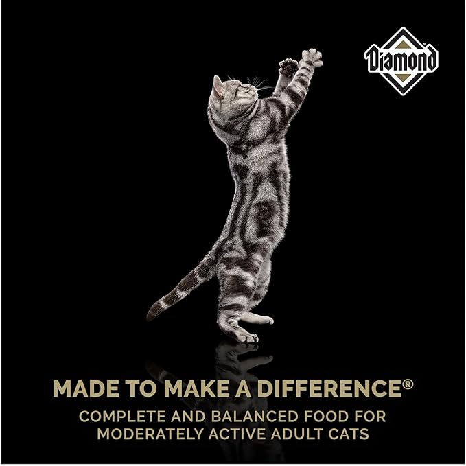 Diamond Maintenance Cat Dry Food 30/15 for Moderately Active Adult Cats 6lb Bag (Pack of 2)