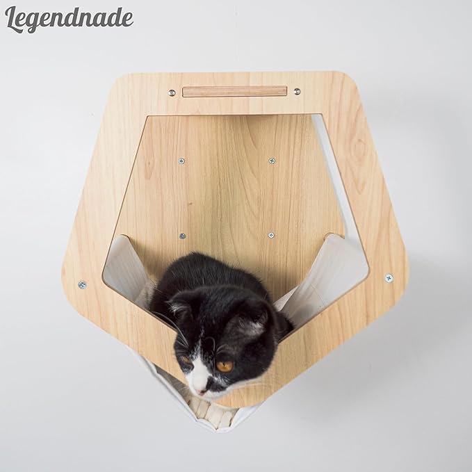 Personalized Cat House 2 Story, Custom Name for Cat House, Wooden Cats Bed for Two Indoor Cats, Cat Pods, Wood Furniture for Sleeping Playing Scratching, Your Pet Gift Decor