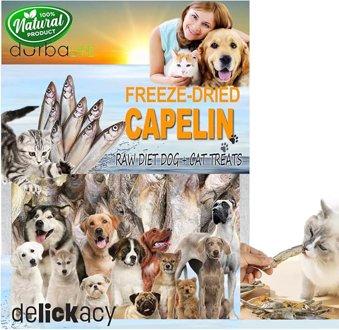 Freeze-Dried Whole Capelin Fish Dog & Cat Treats Single-Ingredient, Protein-Packed Snack Low-Calorie, Grain-Free, Ideal for Sensitive Pets (2 Ounce, Capelin)