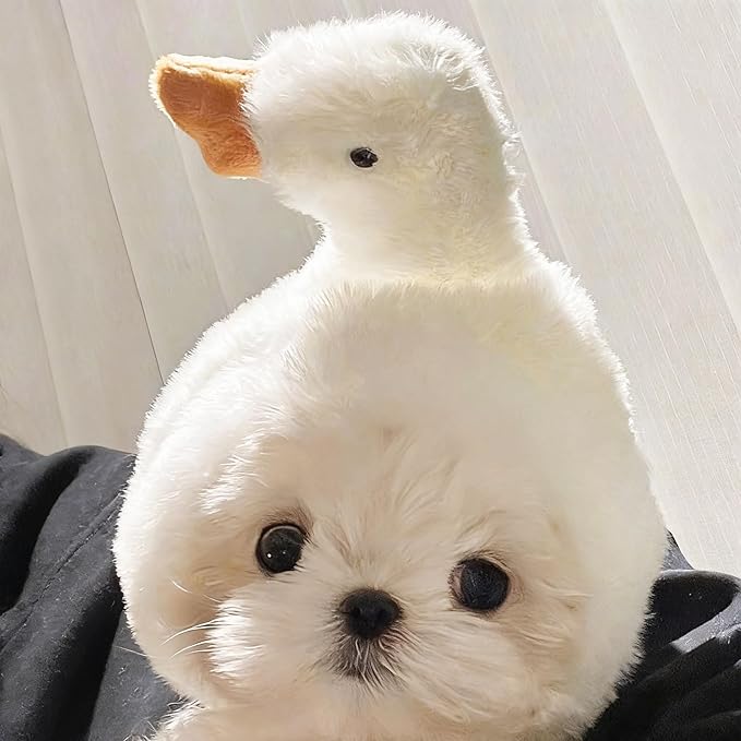 Adorable Pet Plush Headwear, Soft Small Pet Costume Warm Hat for Cat Puppy Dog, Cute Comfortable Pet Head Cover Ear Muffs for Festival Party Activity, Goose, 1 Piece