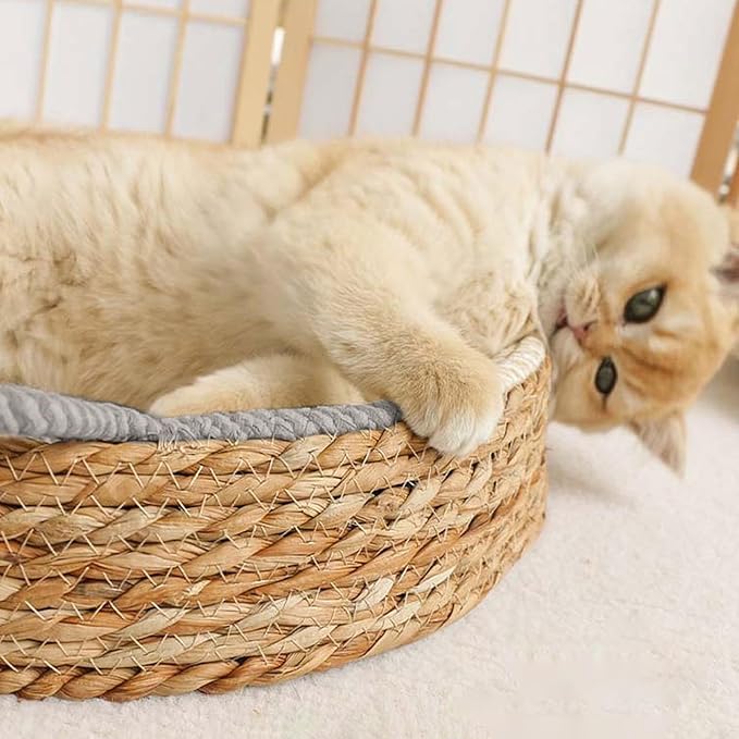 Woven Cat Scratch Bowl - Cotton Rope Round Cat Bed, Kitten Ear Design Scratching Board, Durable Claw Grinding Lounge Toy,
