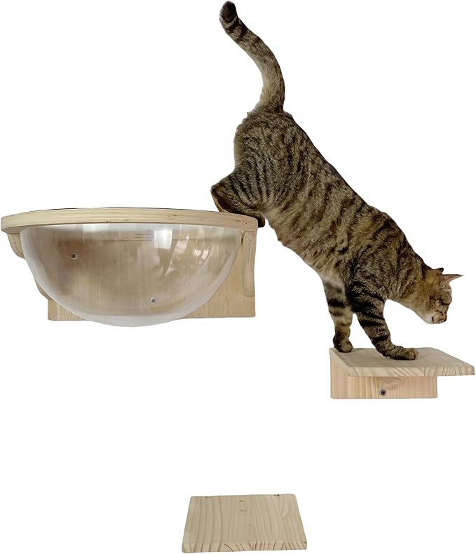 Black Large Cat Wall Shelves,Large Bed/Bubble for Cats Set Climbing Furniture, Wall Clear Cat Hammock Transparent Capsule Bed Set-1XL