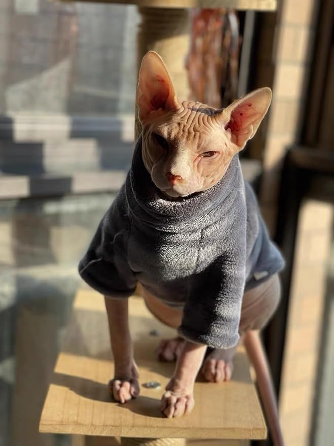 Sphynx Cat Clothes Winter Turtleneck Soft Coral Fleece Cat Clothes Thicken Warm Pajamas Coat for Hairless Cats and Small Cat Apparel with Sleeves (Iron Gray, L (6-9.3lbs)