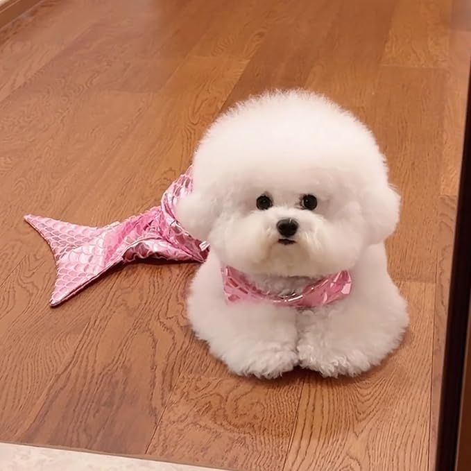Cat Mermaid Costume - Funny Creative Decorative Clothing for Small Dogs or Cats, Photo Props and Party Supplies (Pink)