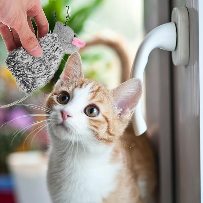 Ipetboom 3pcs Cat Kangaroo Toy - Refillable Teething Plush Doll for Puppies Cat Teasing Puppy Teething Kitten Teasthing Toy Cartoon The Kitten Plush Doll