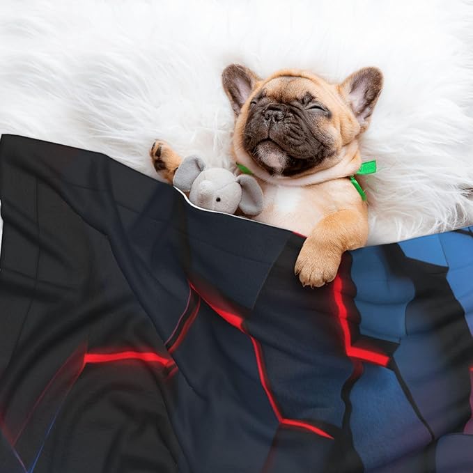 Cat Dog Blanket Black Geometric Shapes with Neon Red Blue Ultra Soft Warming Mat for Indoor Pet Beds Furniture 27.6 X 19.7inch