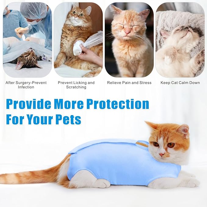 Idepet Cat Surgery Recovery Suit Kitten Onesie for Cats After Surgery Female Breathable Kitty Spay Suit for Abdominal Wound Skin Diseases E-Collar Alternative Wear(Blue,L)