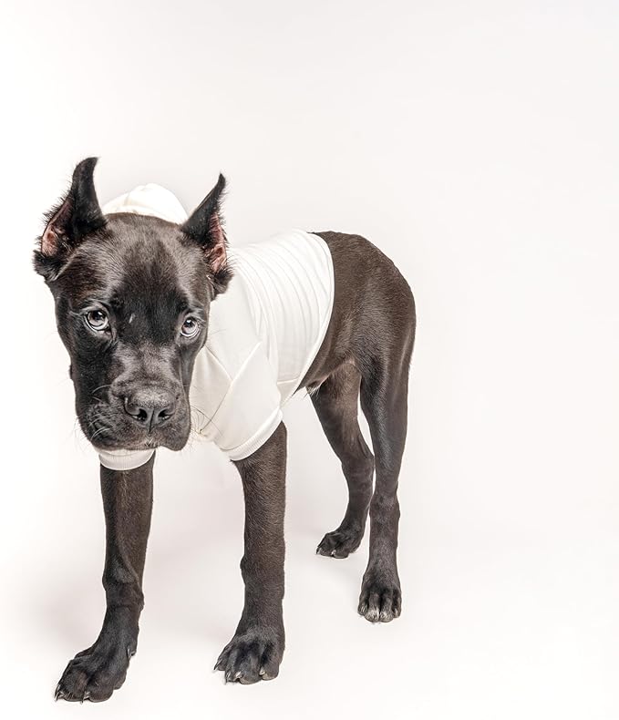 Support Squad Dog Hoodie | Fleece Lined |Leash Hole| Pink October | Breast Cancer. | Awareness & Support|Cream, 3X-Large 1411
