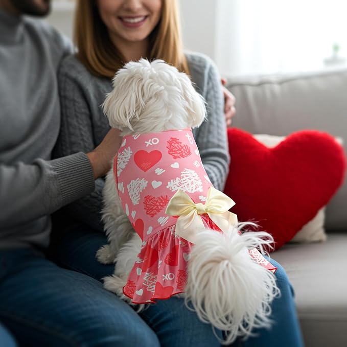 2-Pack Valentine's Day Dog Cat Dress Love Heart Dog Dresses Puppy Valentines Day Skirt Dog Pet Valentines Day Costume Outfit Apparel Clothes for Small Medium Dogs Cats XS