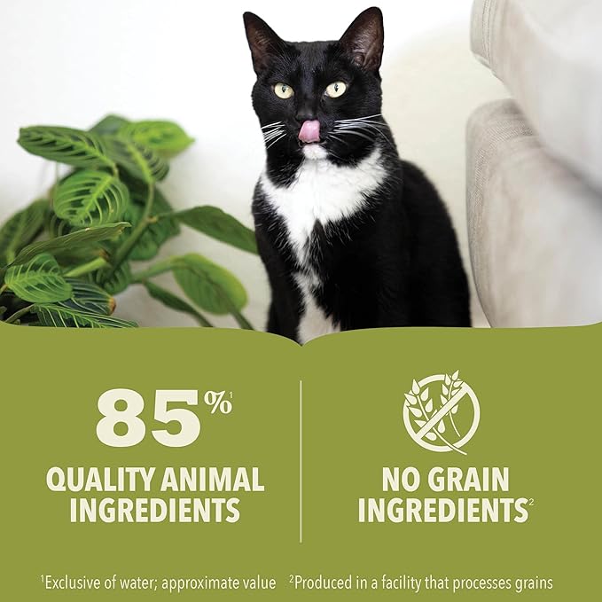 ACANA Premium Pate Wet Cat Food in Bone Broth Chicken + Fish Recipe 5.5oz Cans (12 count)