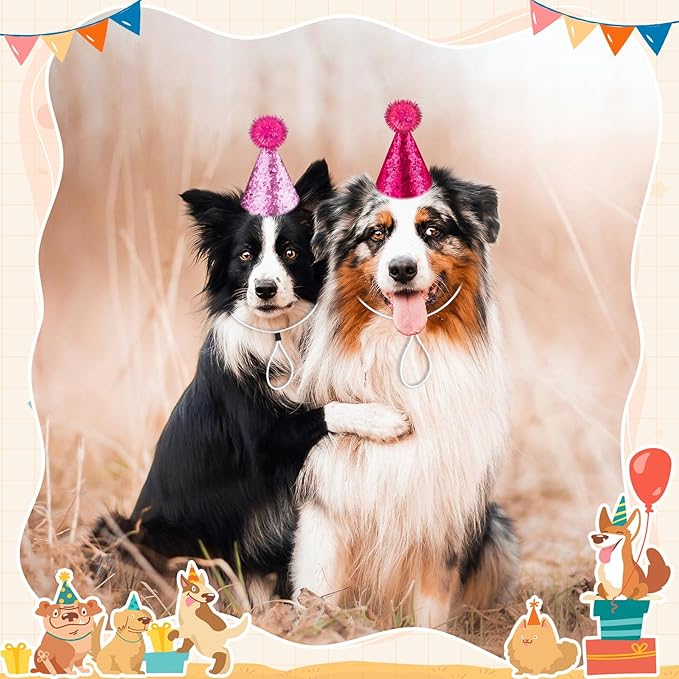 12 pcs Mini Party Hats Small Dog Cat Birthday Hats Tiny Little Party Hats for Stuffed Animal for Small Animal Puppies Kittens Costume Accessories Wedding Party Decor