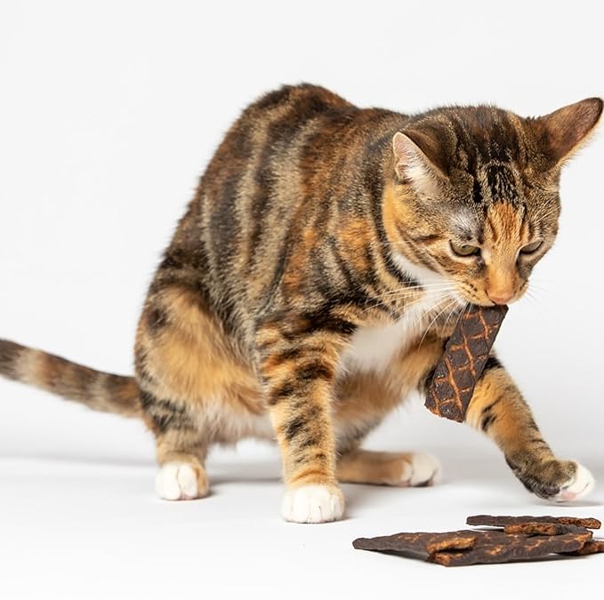 Scout and Zoe's Healthy, All Natural Fish Spears Cat Treats - Sourced and Made in The USA