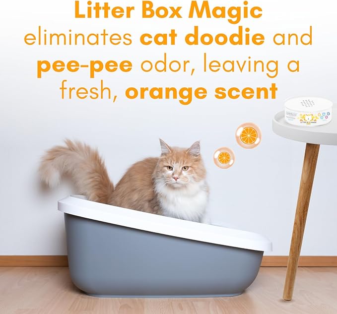 Litter Box Magic Cat Litter Deodorizer Jar (Orange Scent, 16 Oz, Pack of 2) - Cat Litter Odor Control Gel In A Jar - Cat Litter Box Pet Air Freshener - Litter Odor Eliminator to Freshen Air