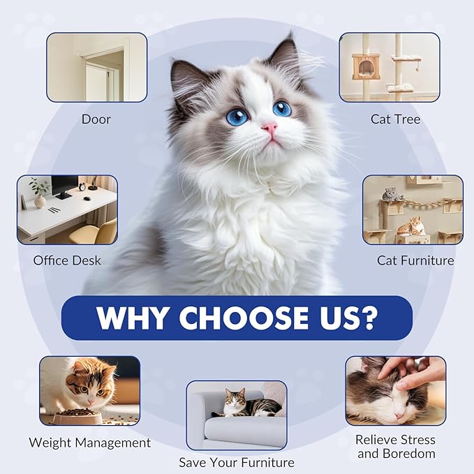 Wortade Interactive Cat Toys for Indoor Cats, Automatic Electric Flying Bird Feather Wand Toy, Rechargeable Electric Exercise Feather Toy for Bored Kittens and Adult Cats, Dark Blue