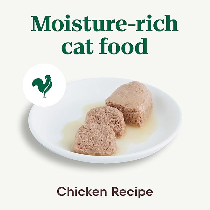 Nutro Perfect Portions Wet Cat Food Pate, Cat Food Wet Chicken Recipe, 2.64 oz. Twin-Pack Trays (24 Count, Pack of 1)