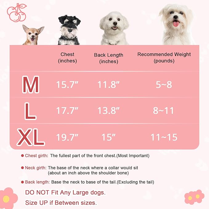 pet Clothes for Dog cat Sweet and Cute Girl (Large)