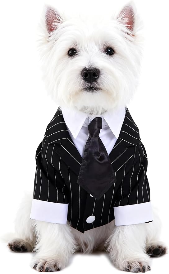 GabeFish Pets Wedding Jackets Suit for Dogs with Bow Tie Puppy Cat Formal Clothes Shirt Tuxedo (Striped, XL (Chest 18.8in/48cm)