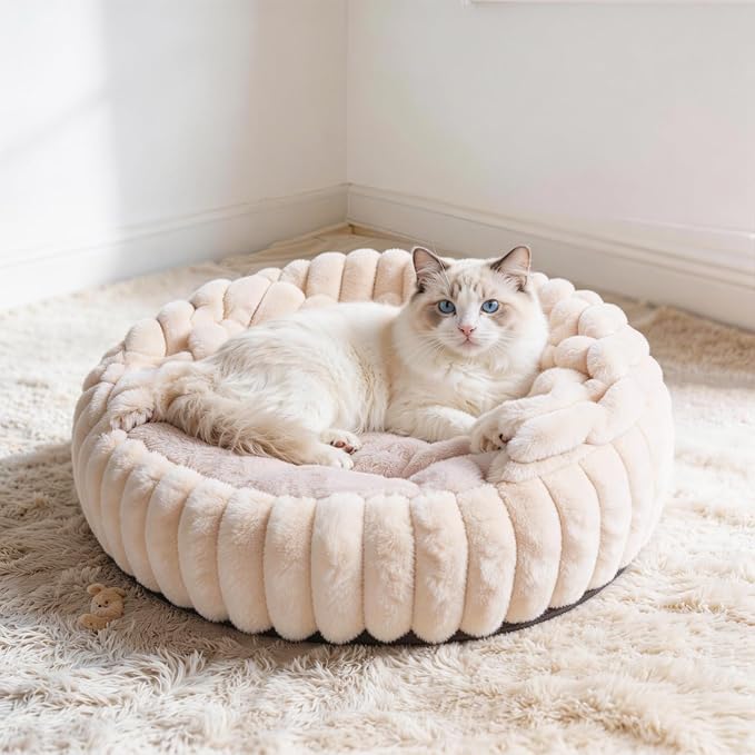 Cat Beds for Indoor Cats, 2 in 1 Cat Cave Bed Kitten Bed for Small Pets, Small Dog Bed with Cover, Pet Bed for Puppy and Kitten with Anti-Slip Bottom-Beige Pink-20 inches
