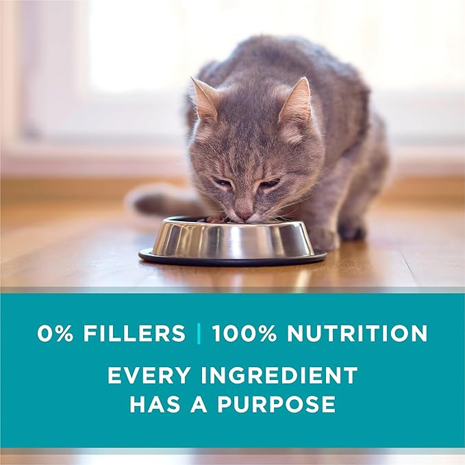 Purina ONE High Protein,Grain Free Pate Wet Cat Food Variety Pack,Grain Free Formula - 3 oz. Cans,(Pack of 48)
