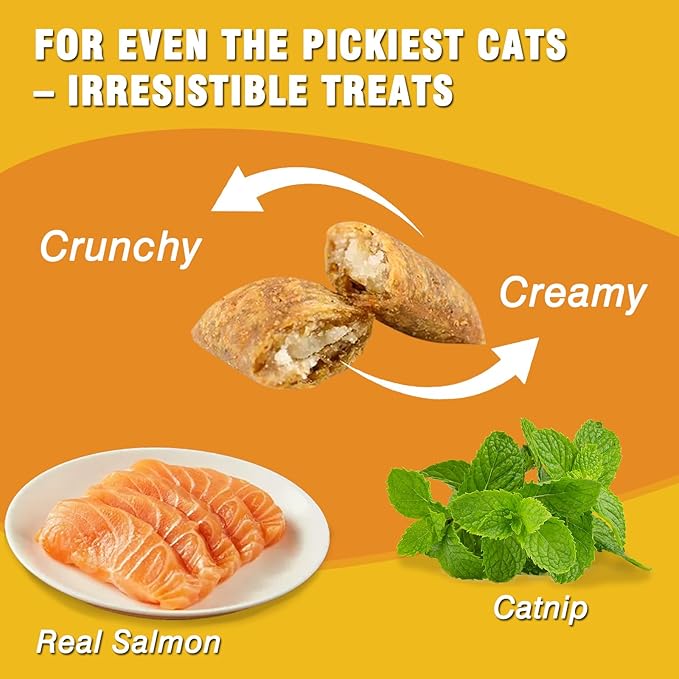 Healthy Cat Treats Soft & Crunchy - Catnip & Salmon Flavor with Real Salmon, Irresistible for Pickiest Cats, Cat Training Treats for Indoor Cats & Kittens, Dental Care & Digestive Support