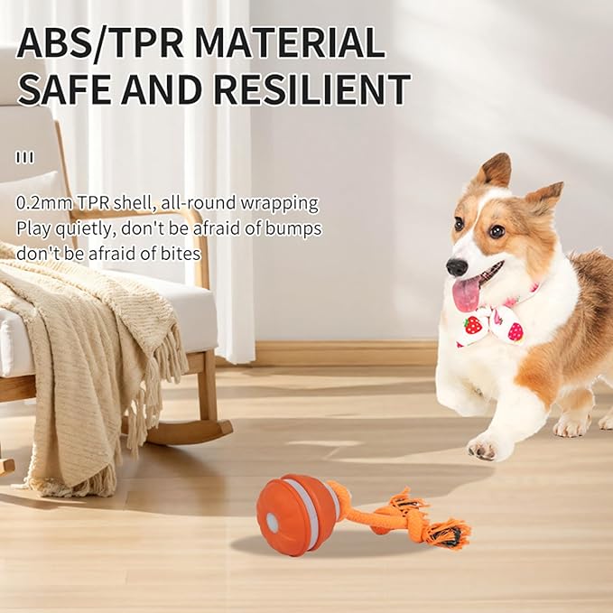Interactive Dog Cat Toys Dog Ball,Automatic Rolling and Bouncing Moving Dog Toy,Squeaky Rolling Balls with Flashing Light,USB Rechargeable Chew Toys for Puppy Small Dogs, Pet Ball to Keep Them Busy