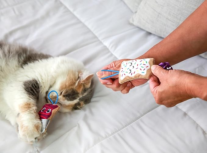 Flingin Purr Tarts Catnip Filled Interactive Cat Toys, Pack of 2