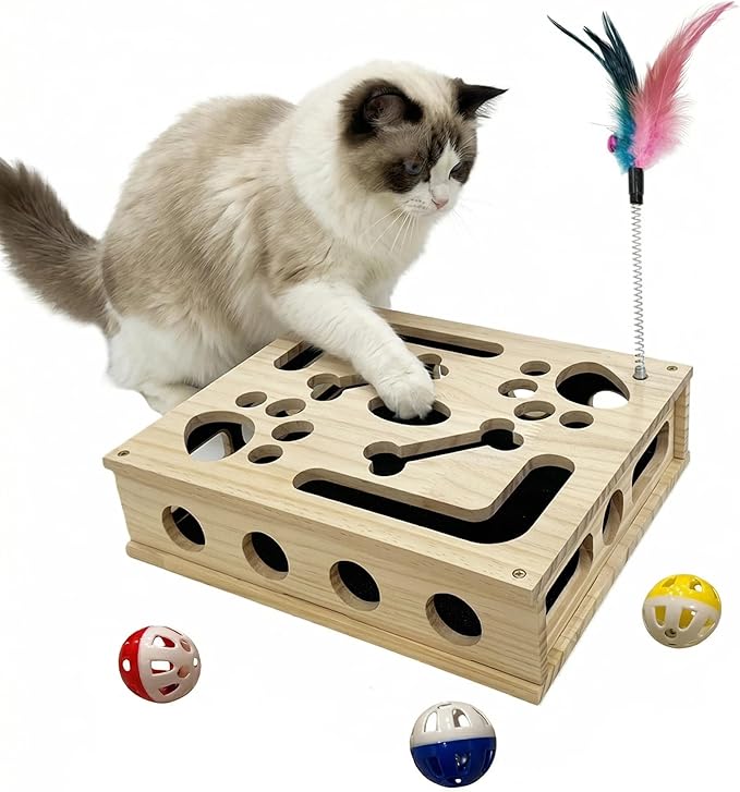 Cat Scratch Puzzle Enrichment Box, Cat Nail File Enrichment Box Sandpaper, Interactive Cats Treat Toy Stress Free, Scratchers that Trim Nails